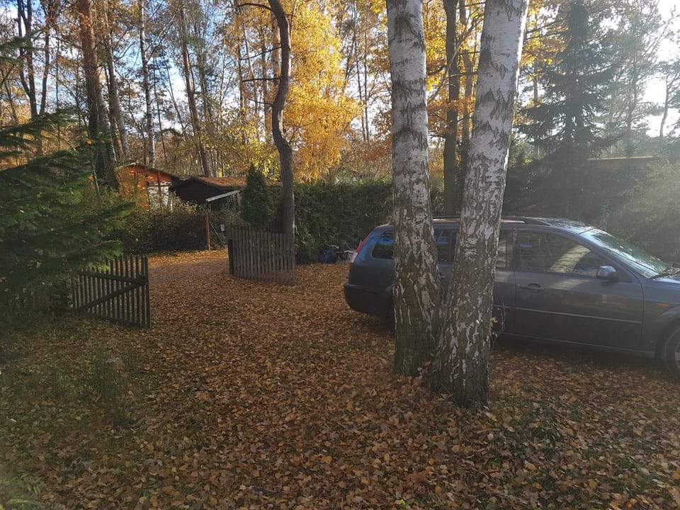 Facade/entrance, Garden, Garden view, Street view