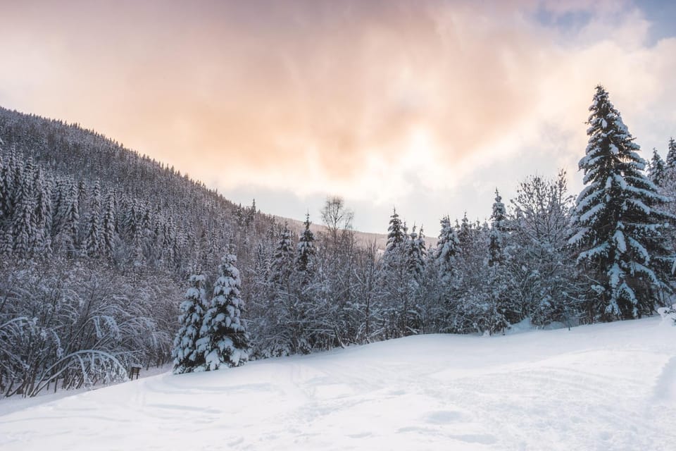 Natural landscape