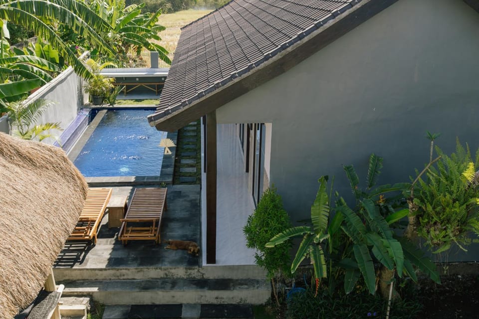Balcony/Terrace, Swimming pool