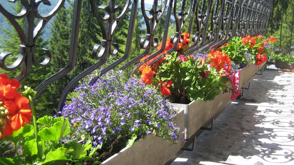 Balcony/Terrace, Location, sunbed