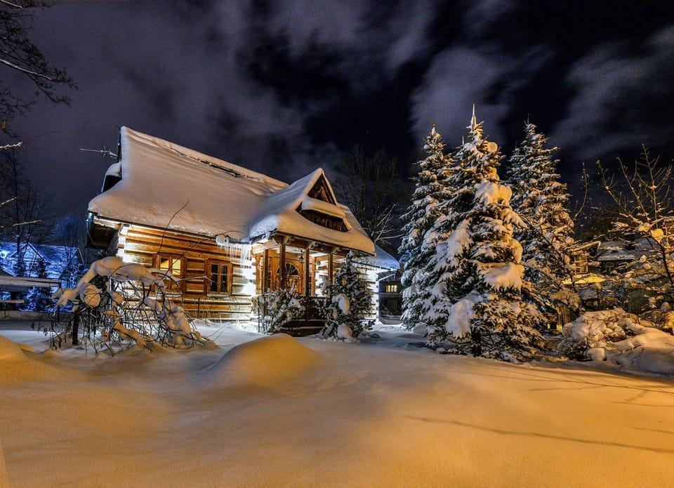 Night, Winter, Garden