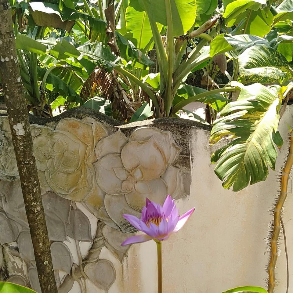 Garden, Garden view