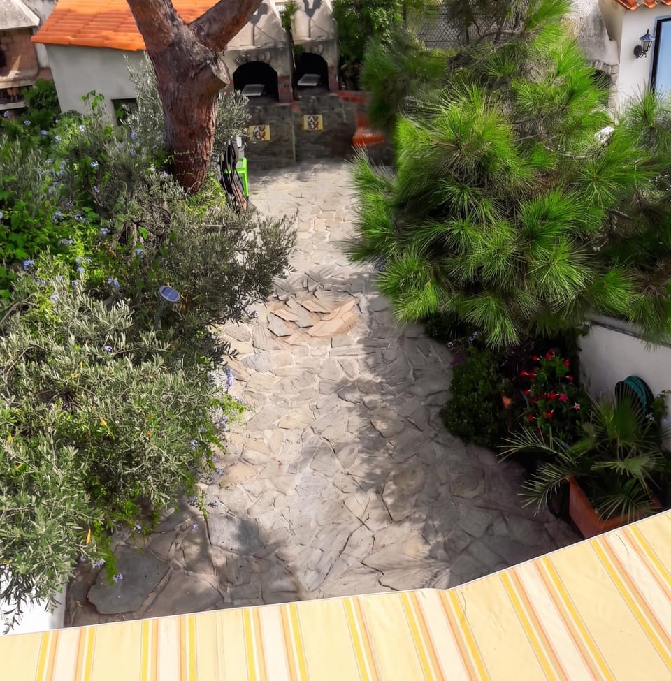 Garden view