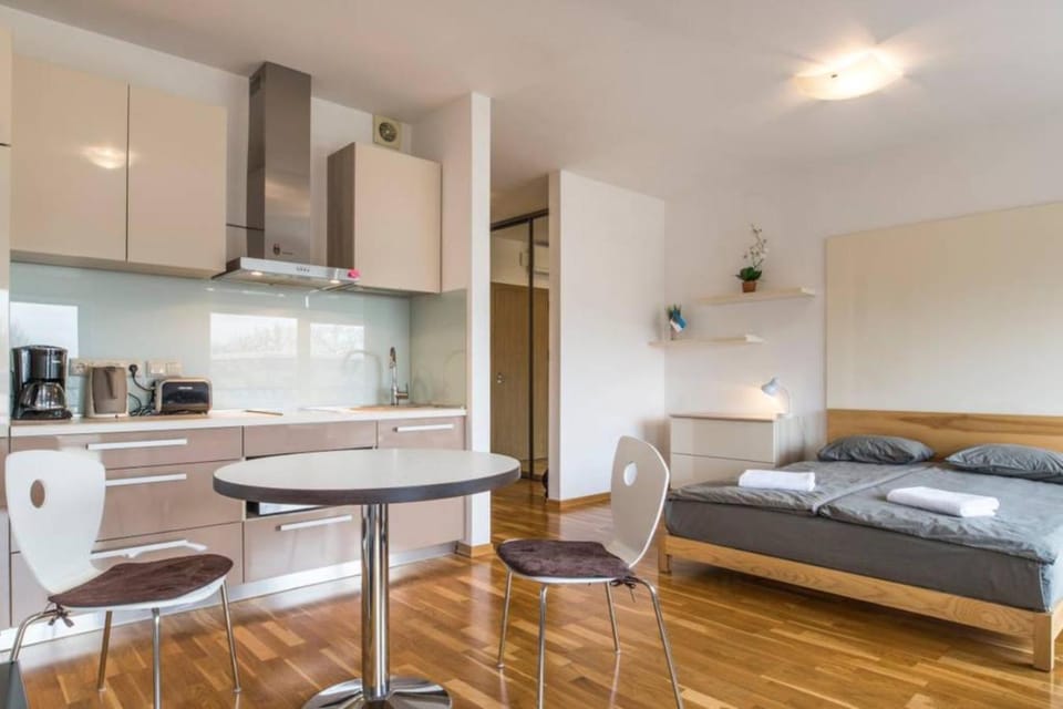 Bed, Kitchen or kitchenette, Living room