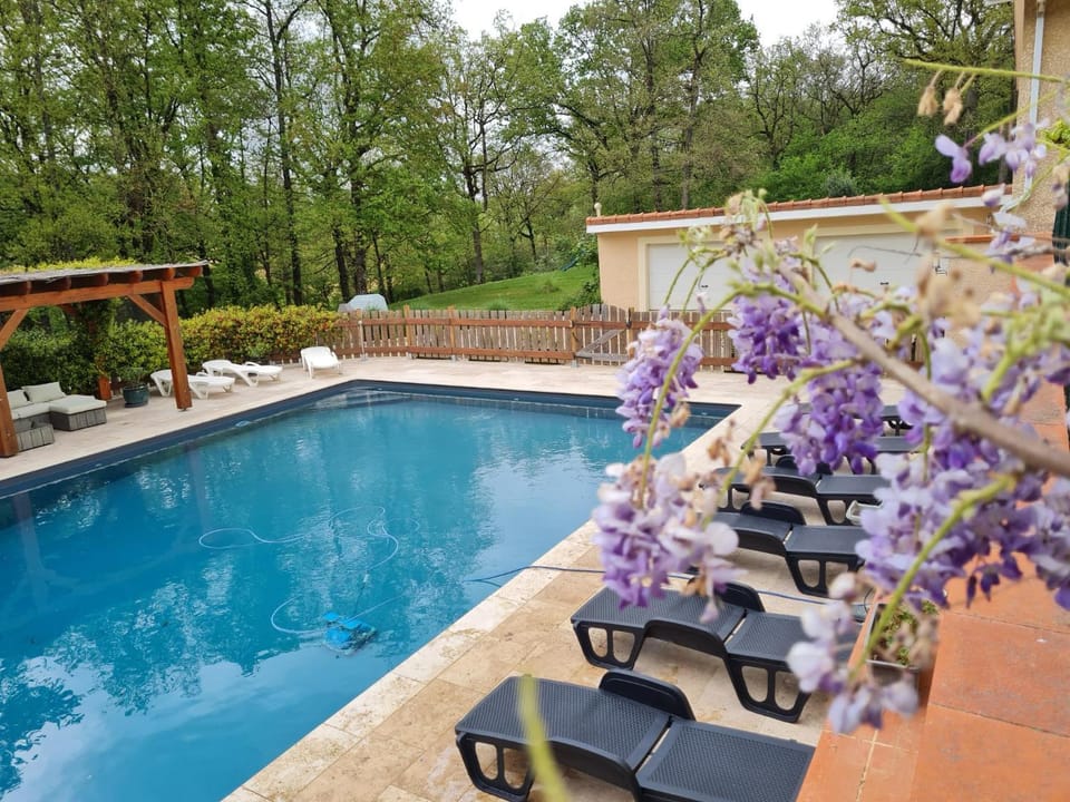 Garden, Garden, Garden view, Pool view, Pool view, Swimming pool, Swimming pool, Swimming pool