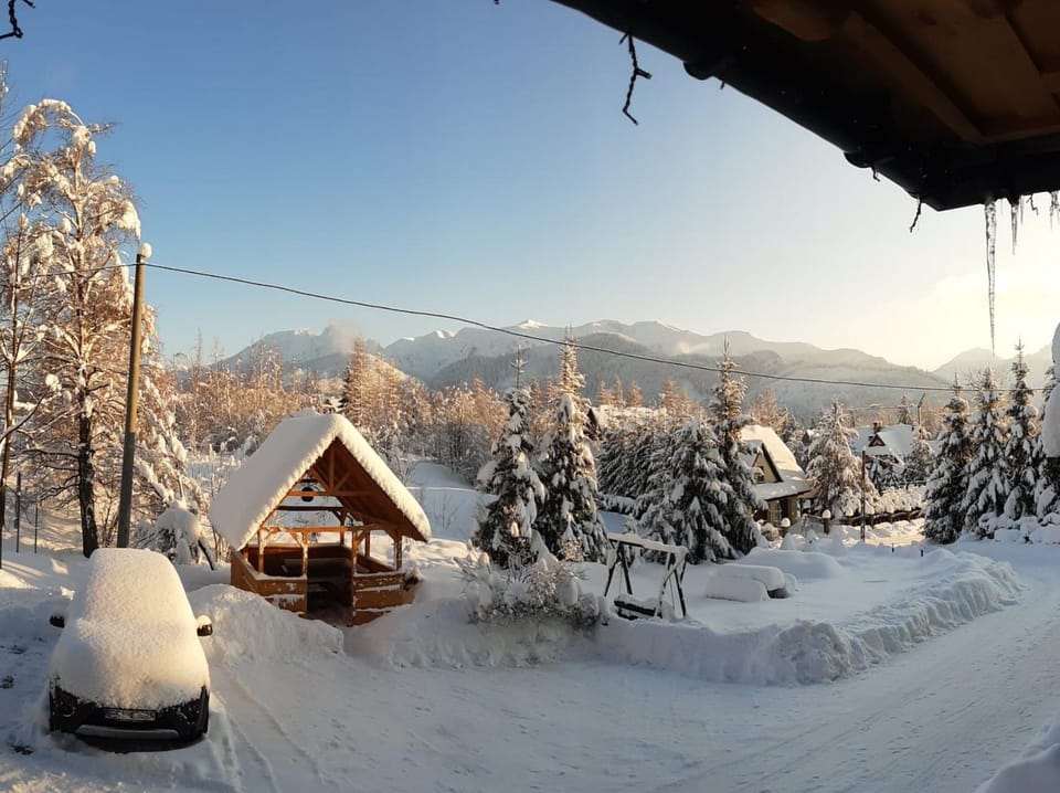 Winter, Mountain view