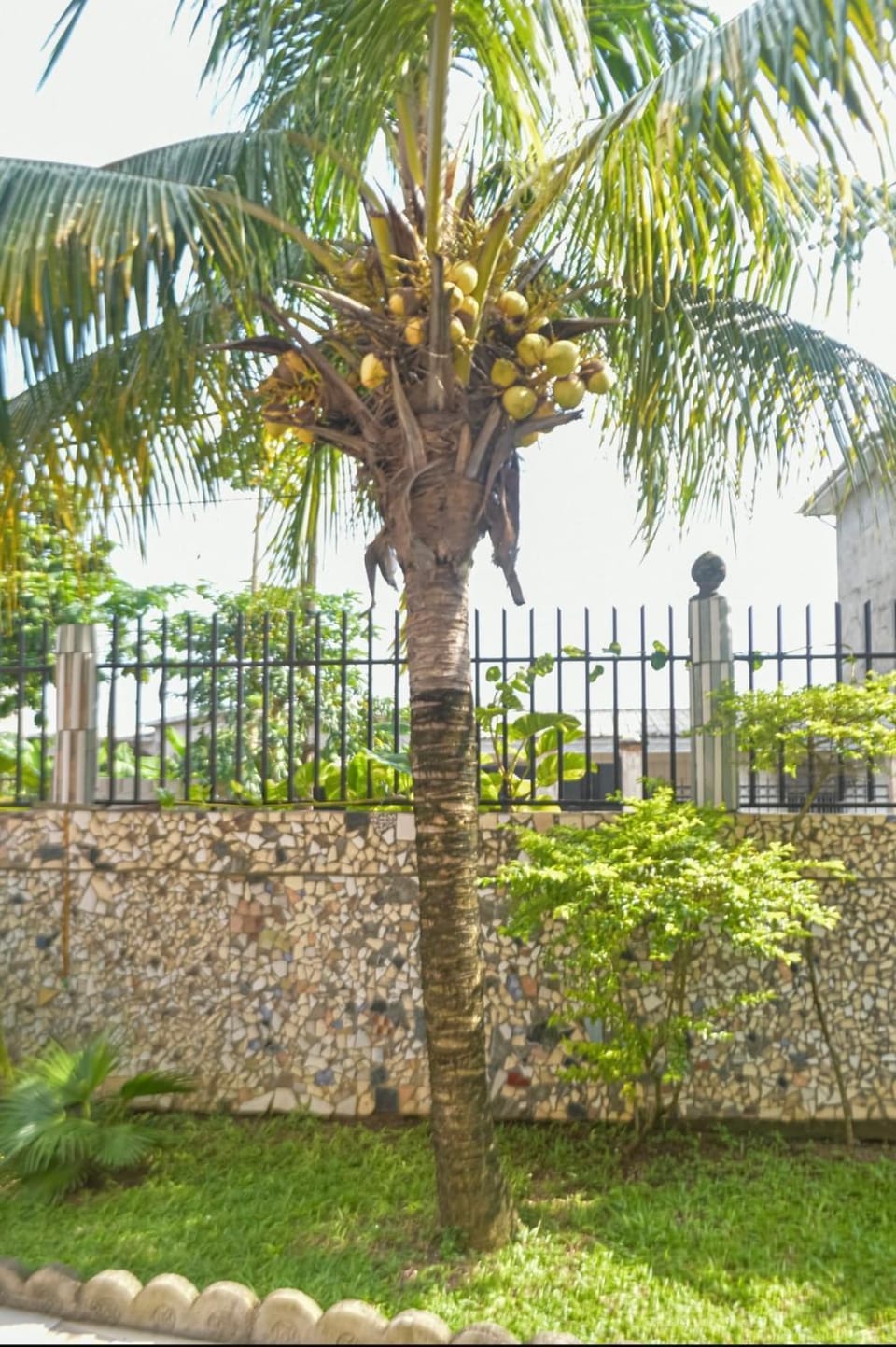 Vicky Appartements Palmengarten Douala Maképè Belavie Apartment hotel in Douala