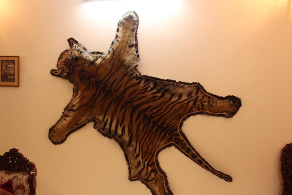 Living room, Decorative detail