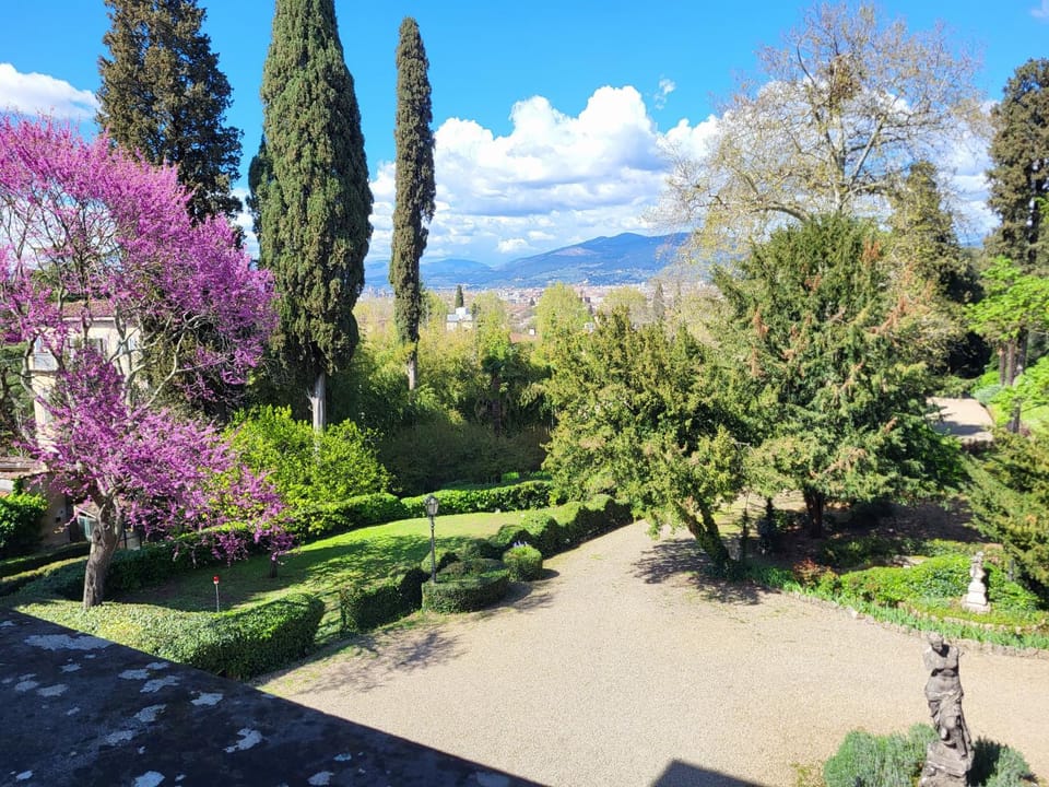 City view, Garden view