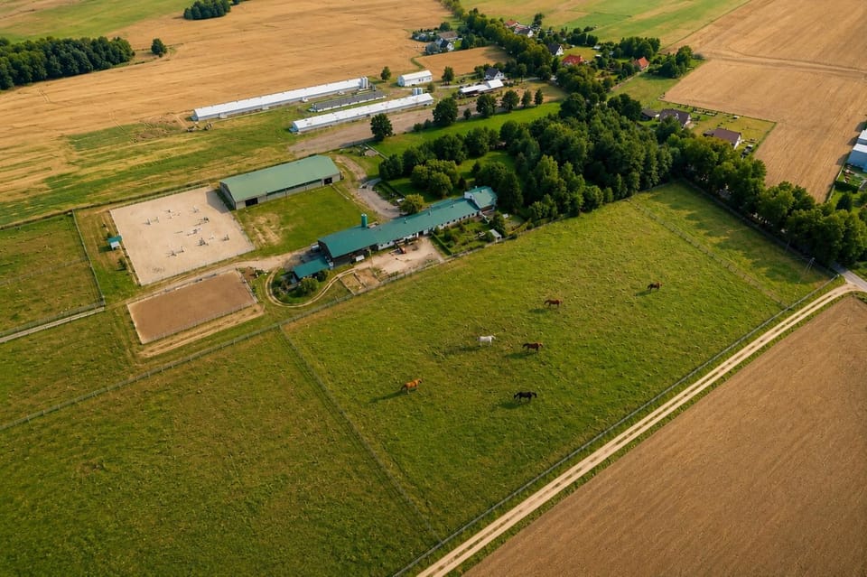 Neighbourhood, Bird's eye view