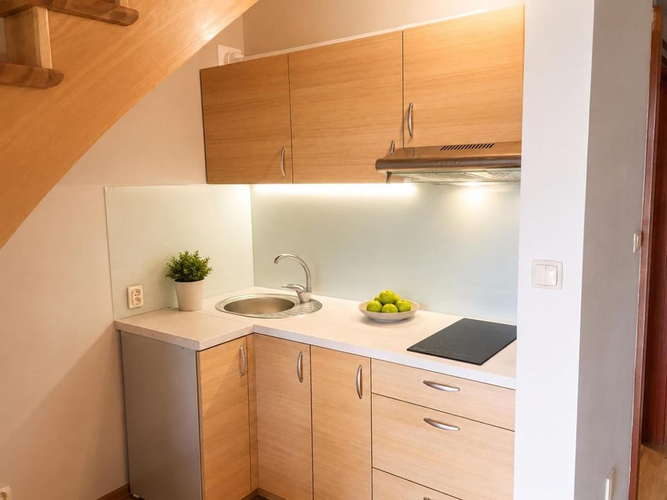 Kitchen or kitchenette, oven, stove