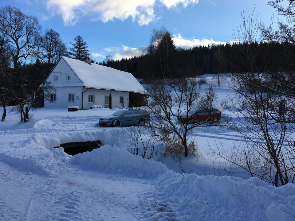 Winter