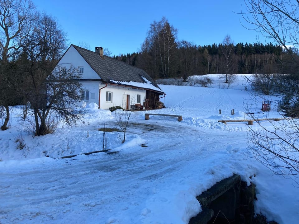 Winter