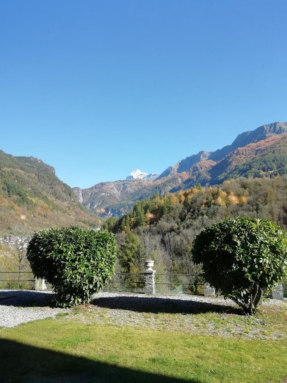 Garden, Mountain view