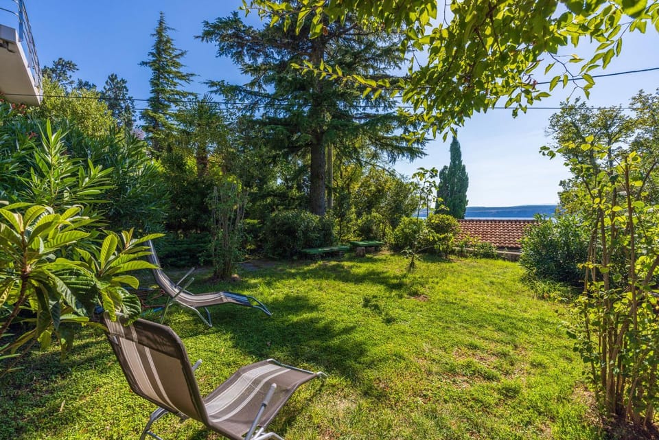 Patio, Garden, Balcony/Terrace