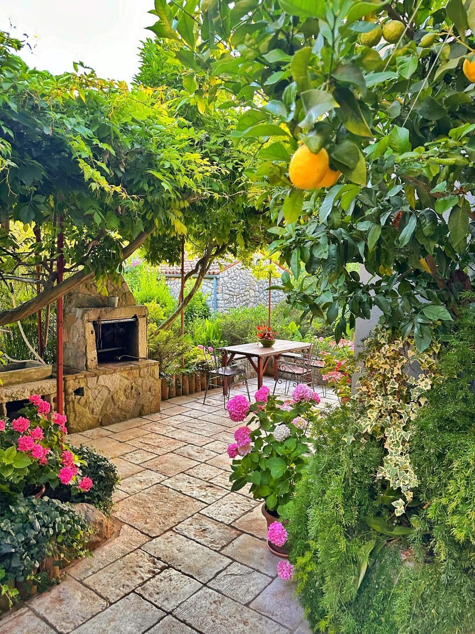 Garden