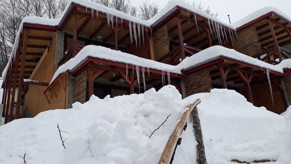 Vila Jana Mavrovo Apartment in North Macedonia