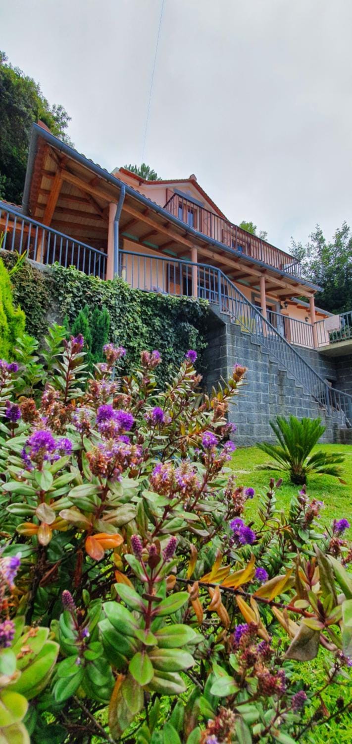 Property building, Spring, Garden view