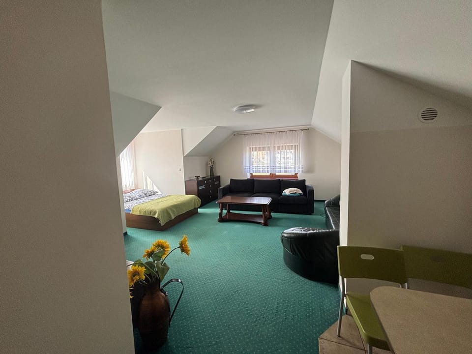Living room, Photo of the whole room, Seating area