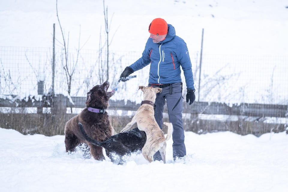 Hotel Grimming dogs&friends Hotel in Salzburgerland