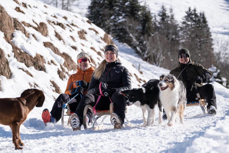 Hotel Grimming dogs&friends Hotel in Salzburgerland