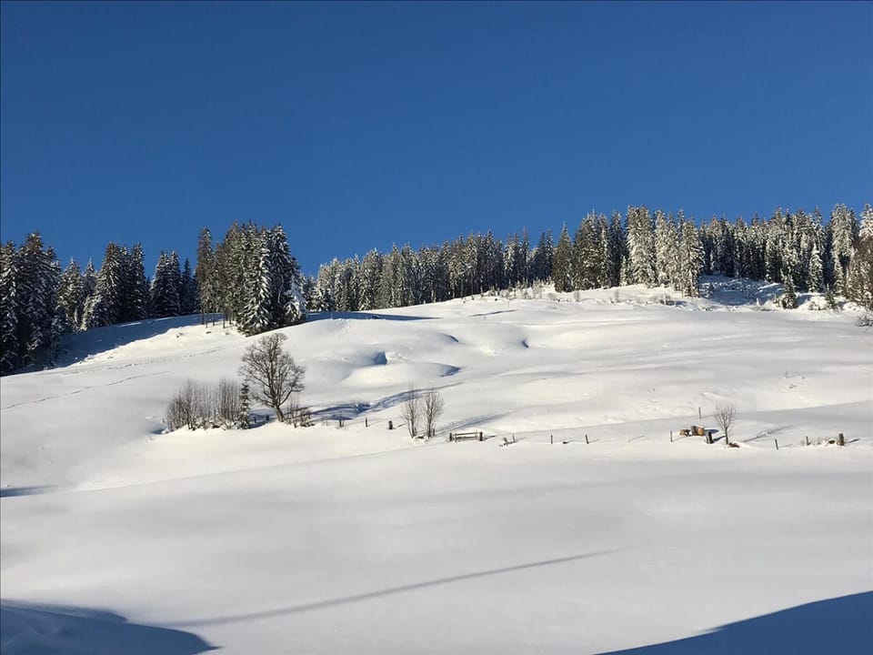 Skiing