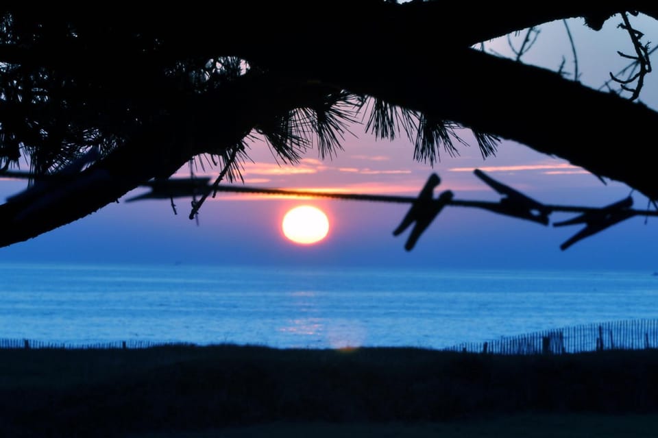 Garden view, Sea view