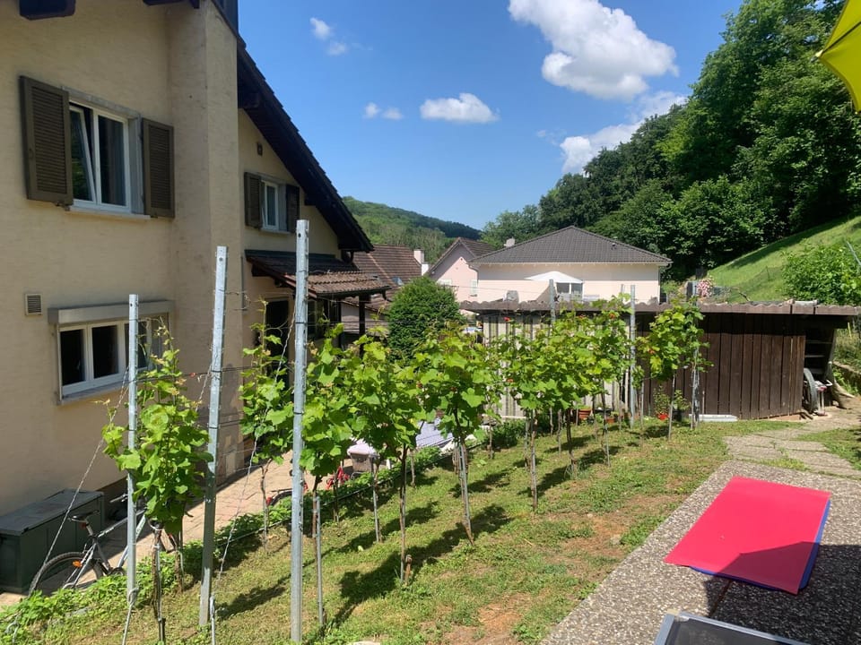 Bed n Breakfast Obermumpf Bed and Breakfast in Aargau, Switzerland