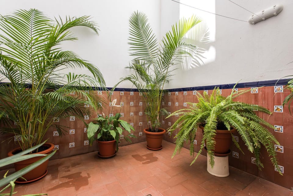 Sevilla Sun Apartment in Seville