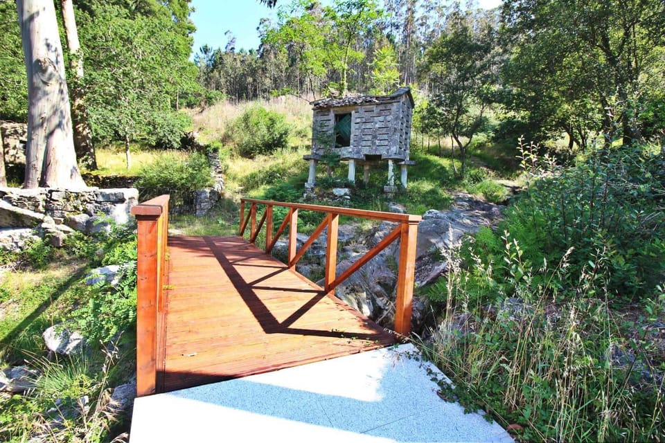 Natural landscape, Garden
