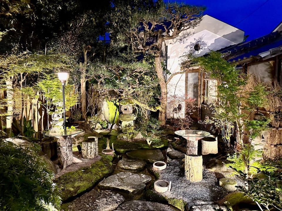Night, Garden, Garden, Garden view, River view