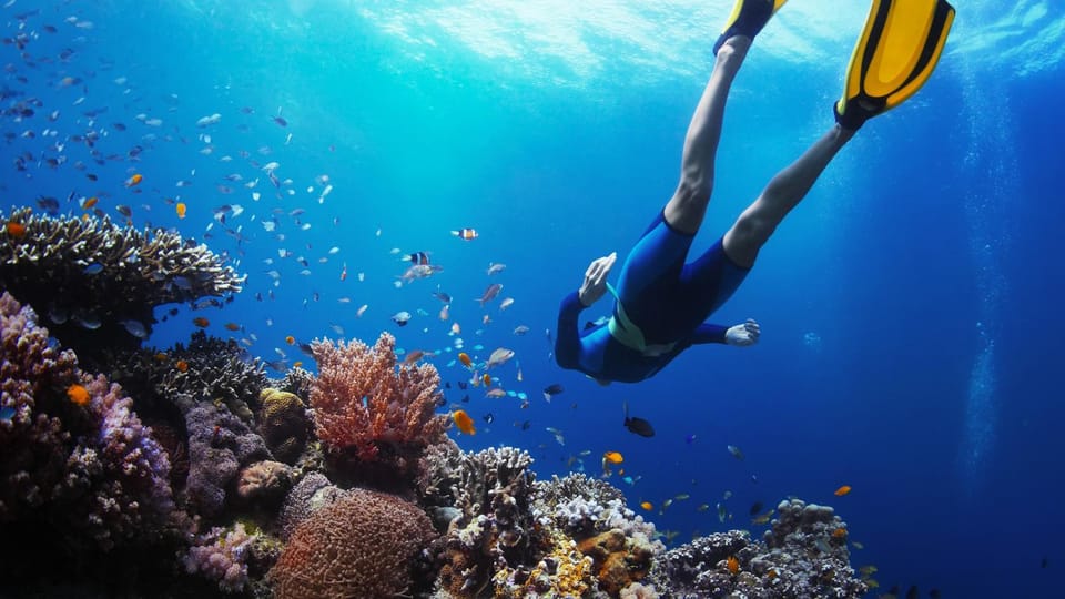 Nearby landmark, Spring, Off site, Day, Natural landscape, Summer, Snorkeling, Diving