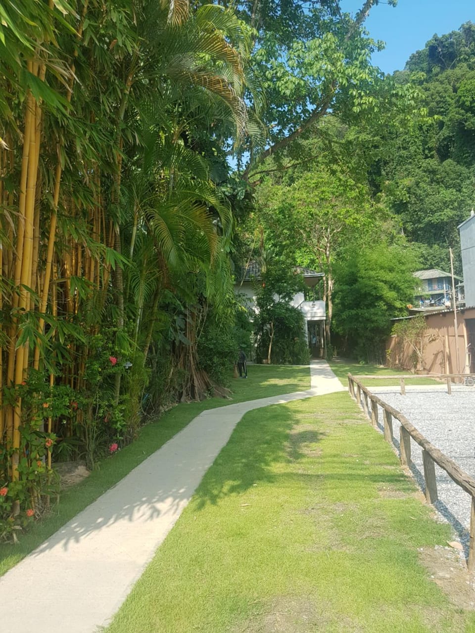 Natural landscape