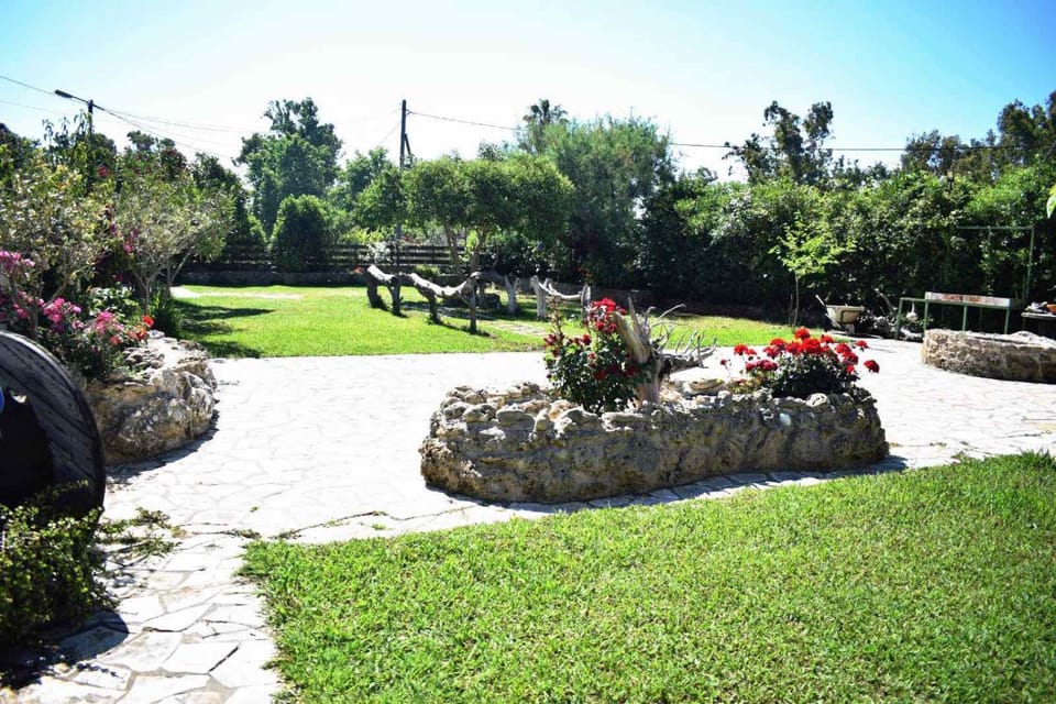 Harmony Corfu Apartments & Studios Apartment in Corfu, Greece