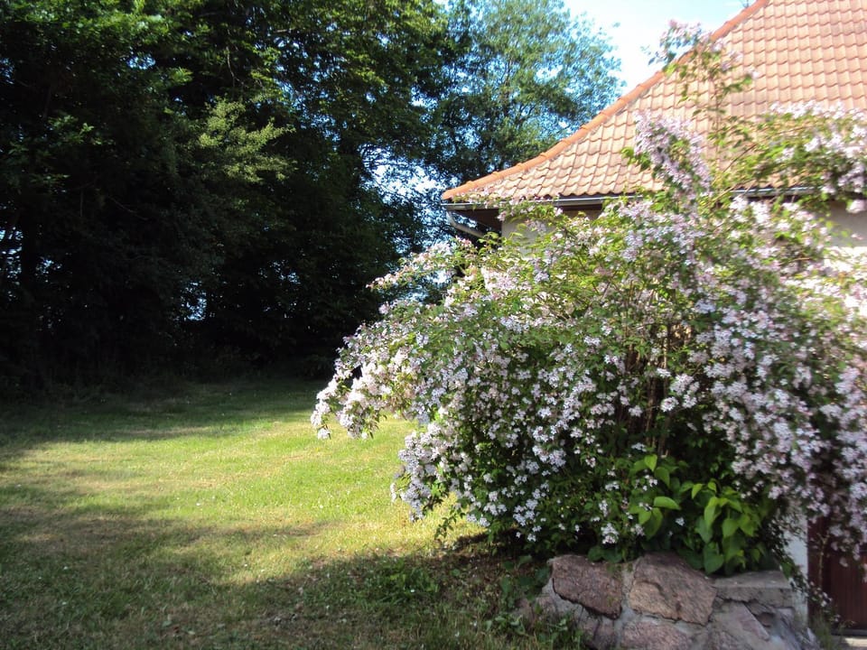 Gite Equipe avec Espace Vert House in Auvergne-Rhône-Alpes