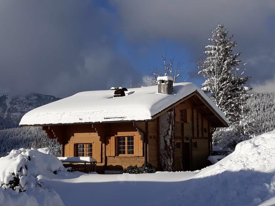 Property building, Winter