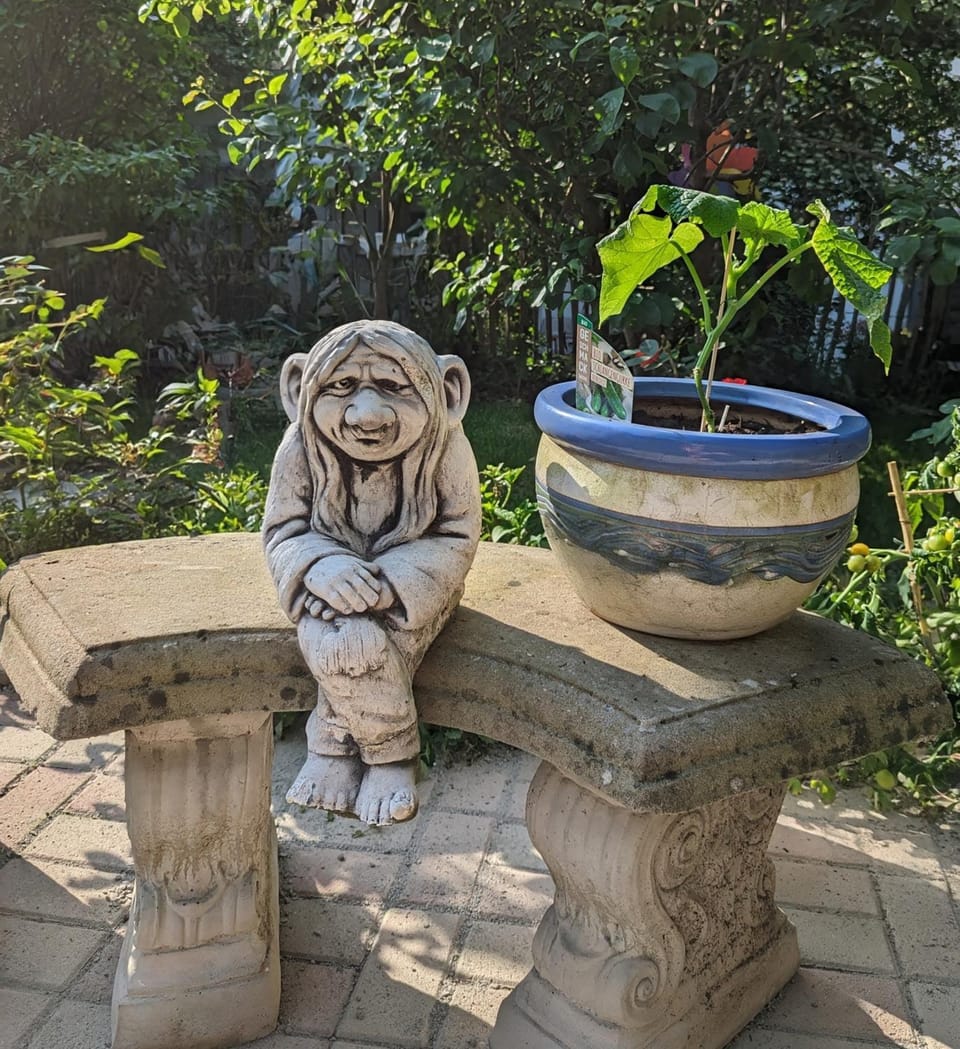 Garden view