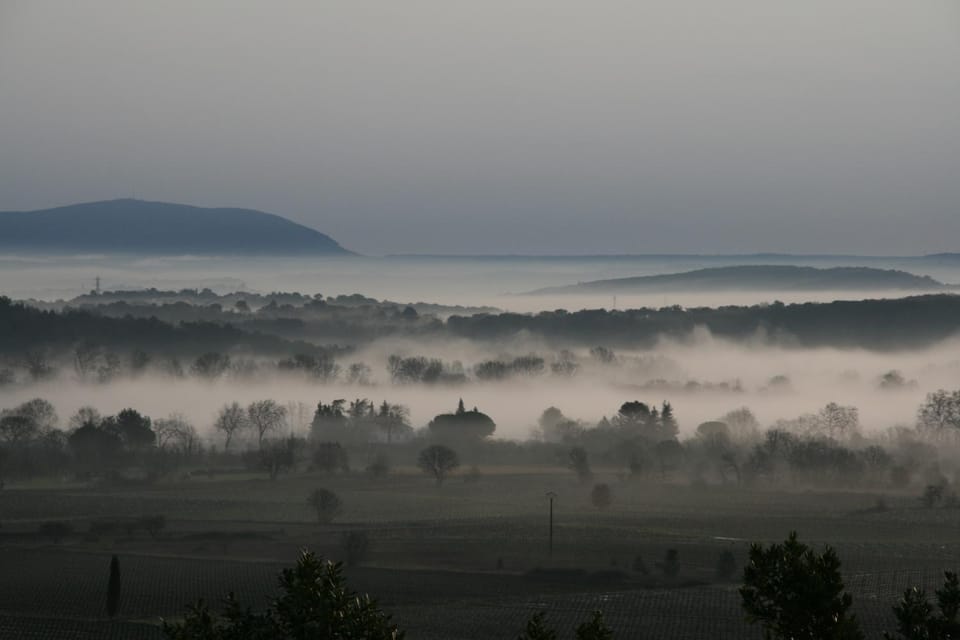 Natural landscape