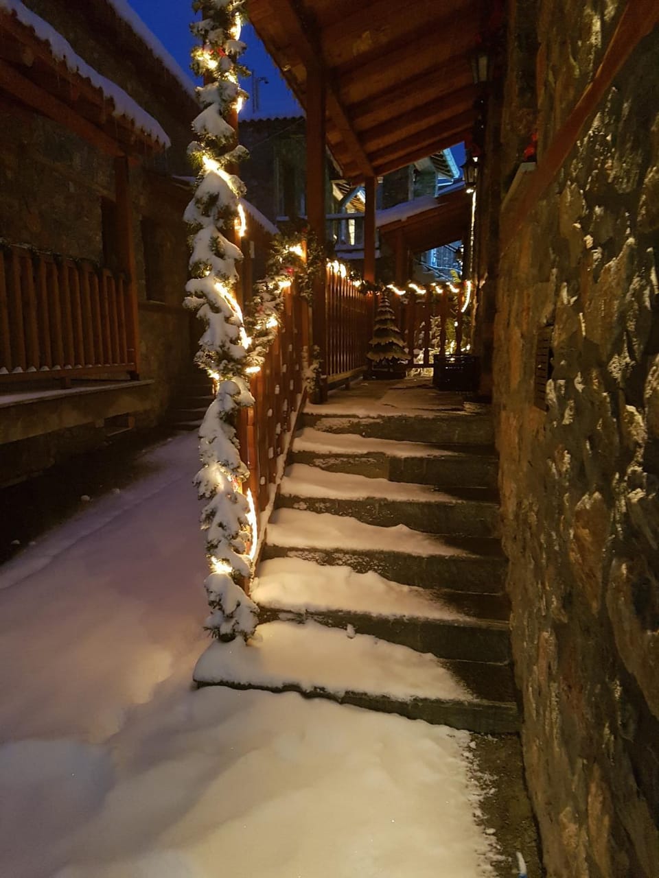 Aroma Elatis Bed and Breakfast in Decentralized Administration of Macedonia and Thrace