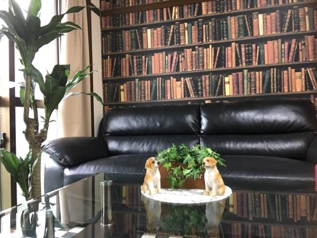 Cozy Family room KY apartment Apartment in Naha