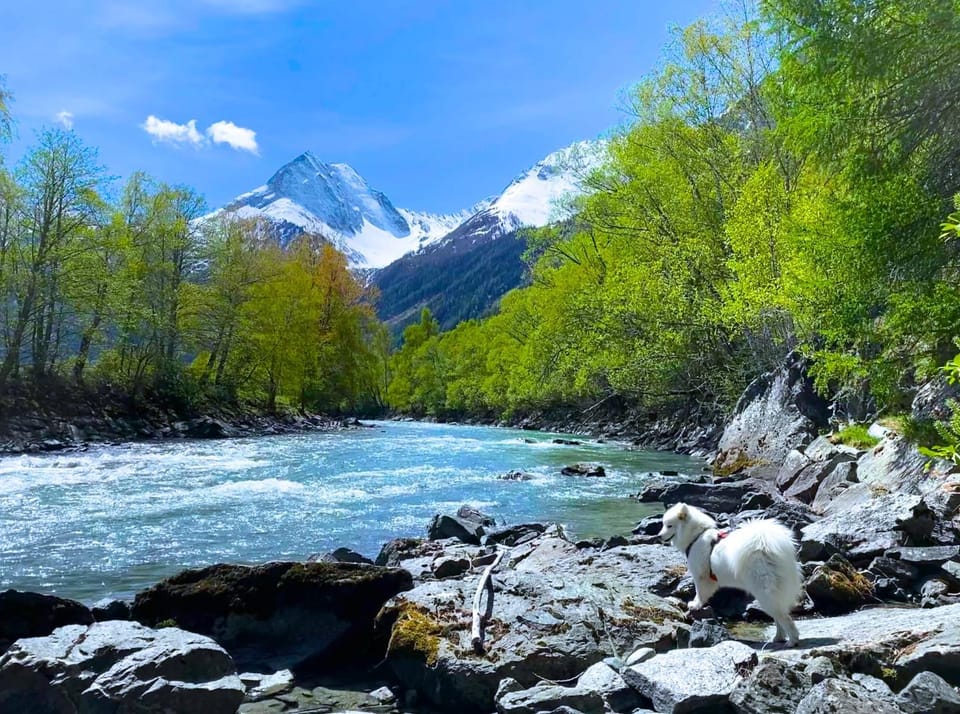 Spring, Natural landscape, Summer, Hiking, On site