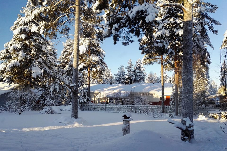 Garden, Garden, Garden view