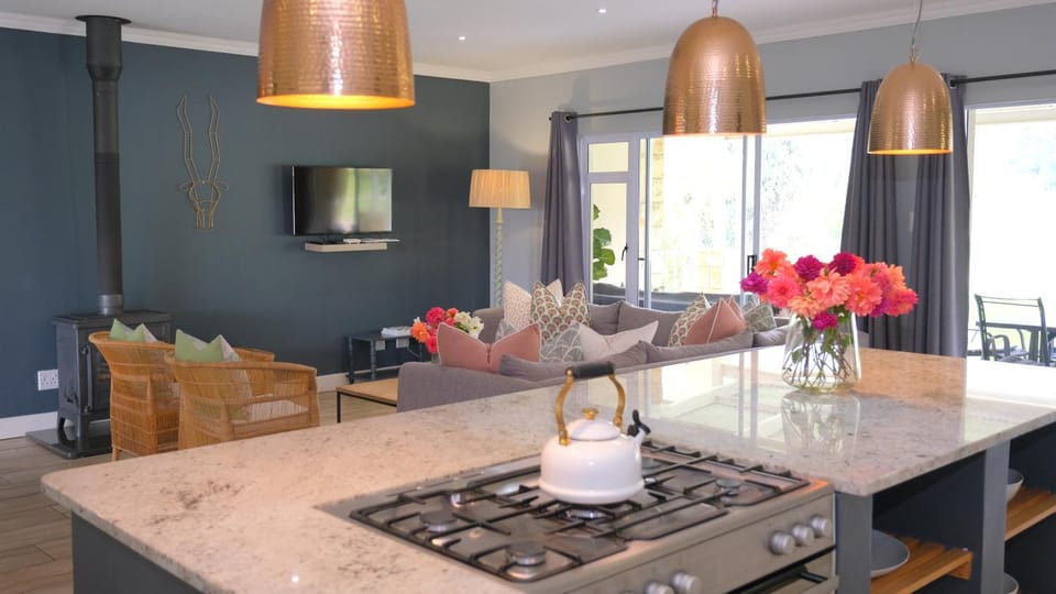Kitchen or kitchenette, Dining area, stove