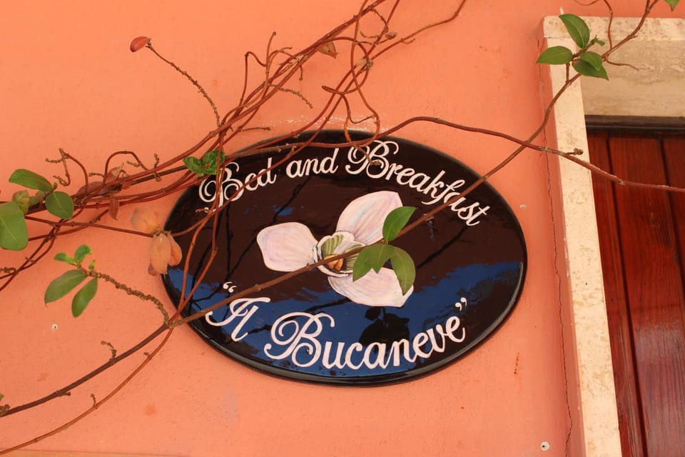 B&B Il Bucaneve Bed and Breakfast in Calabria