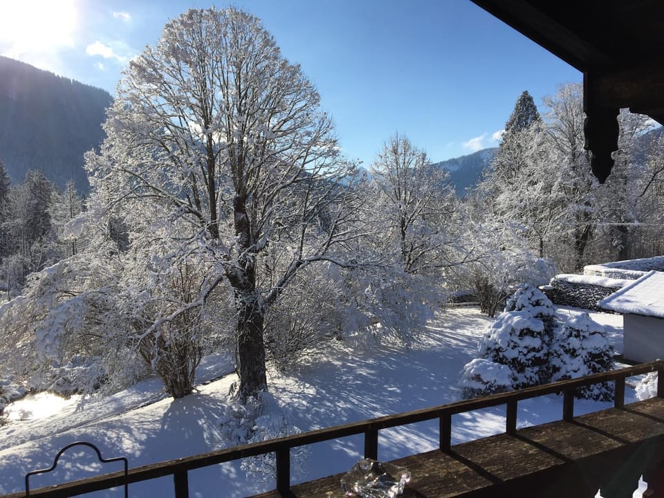 Garden view