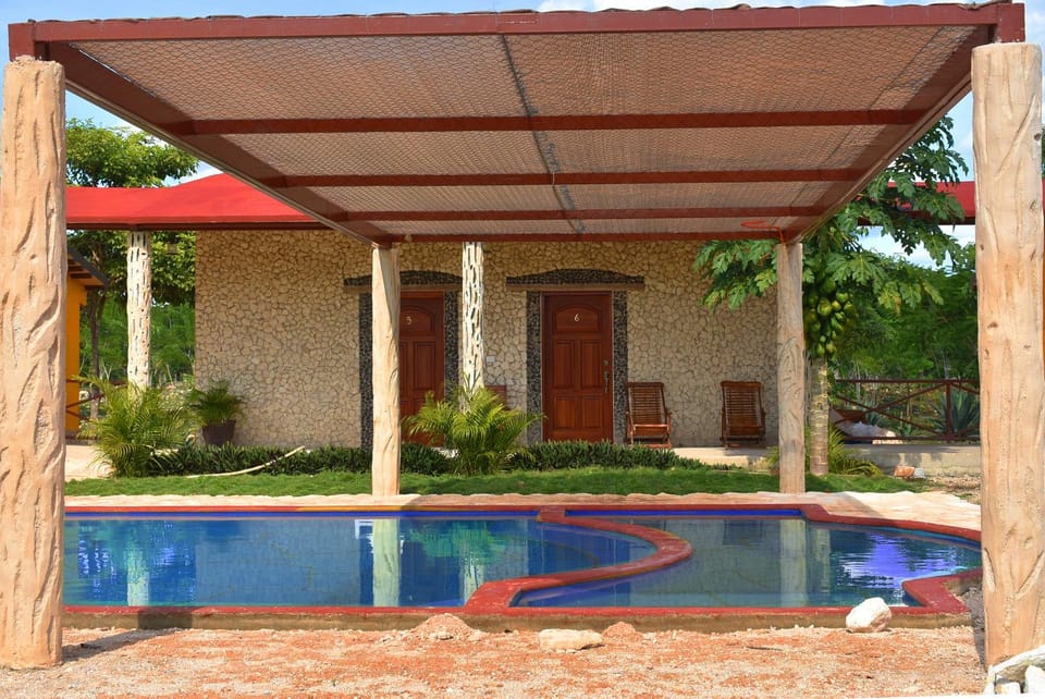 Patio, Garden, Garden, Swimming pool