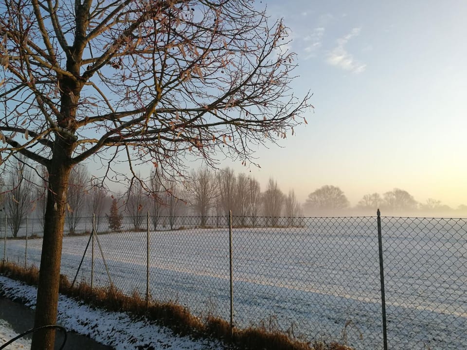 Natural landscape, Winter