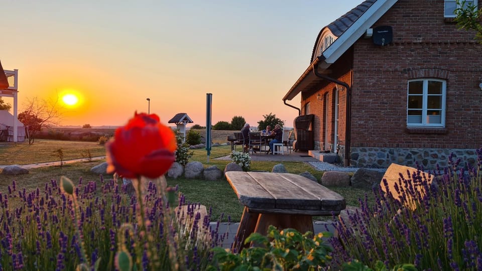 Spring, Natural landscape, Garden view, Sunset