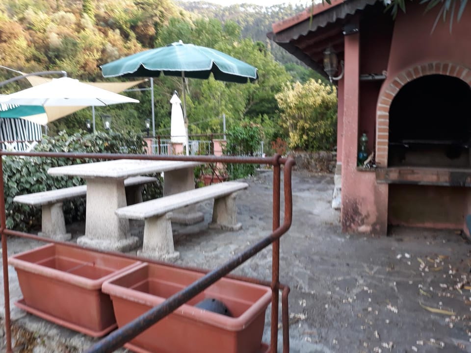 Garden, Balcony/Terrace