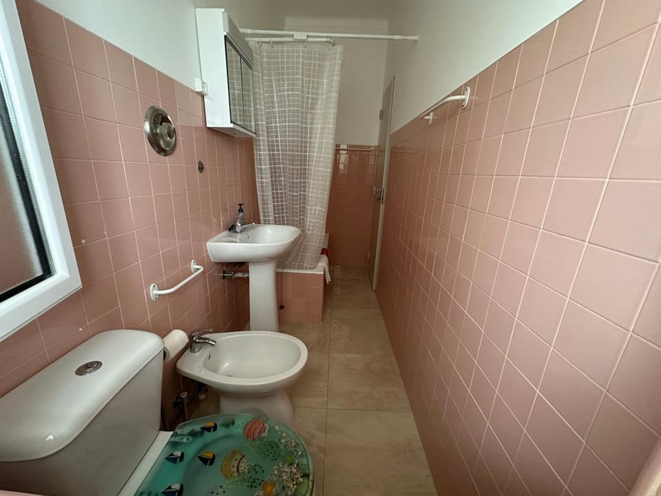 Shower, Toilet, Bathroom, bidet